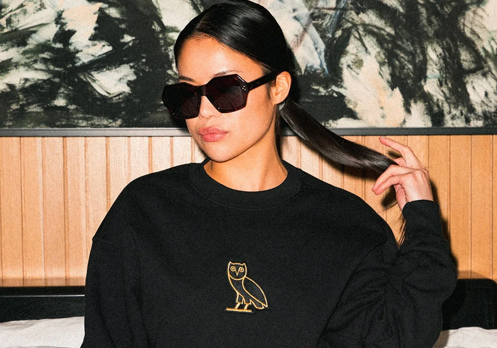 Unveiling the Mystery Who Really Owns the OVO Brand?